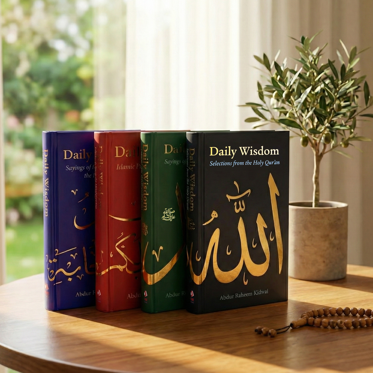 Daily Wisdom 4 Book Set