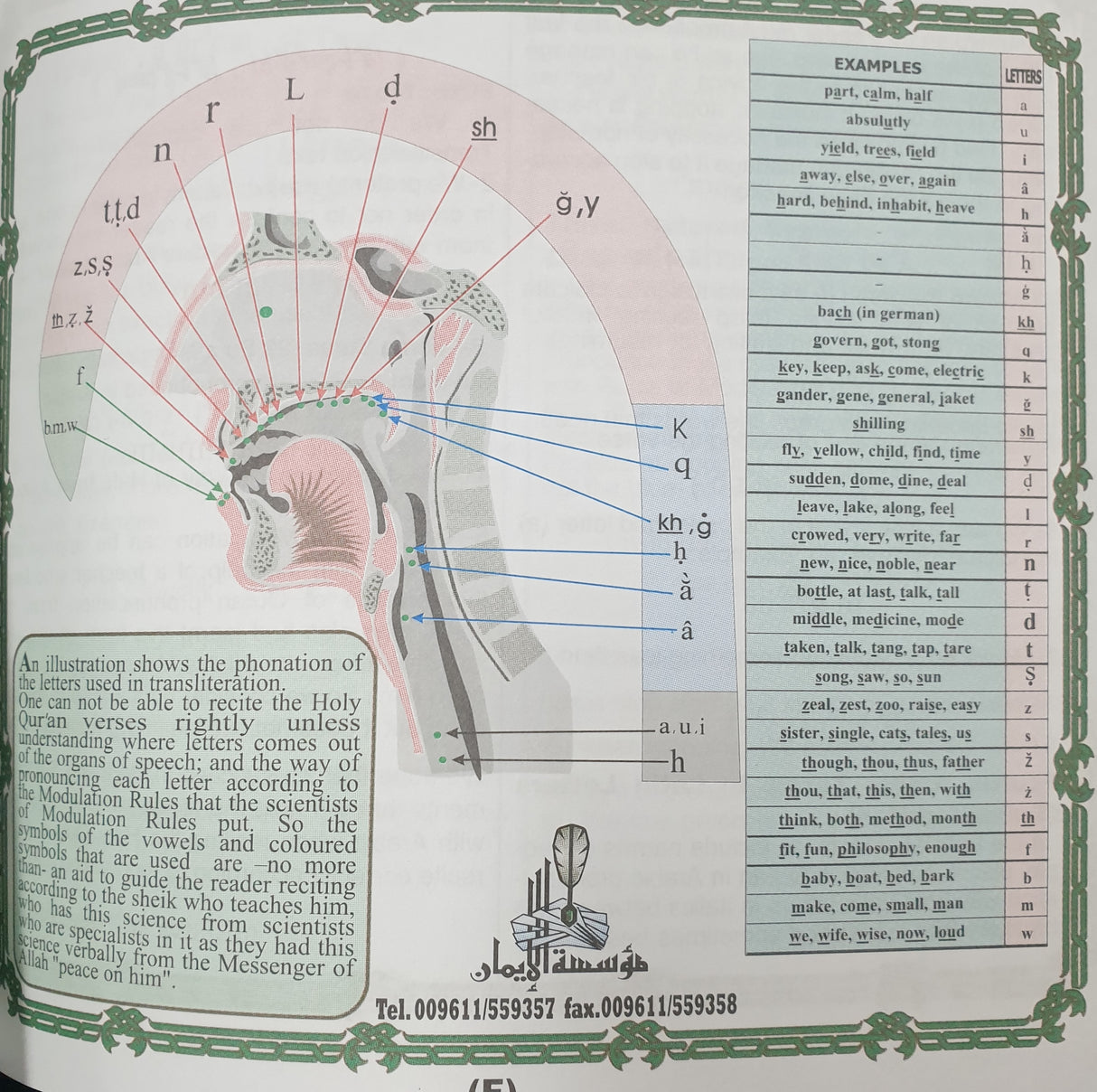 Quran with Translation and transliteration 17X17.5cm