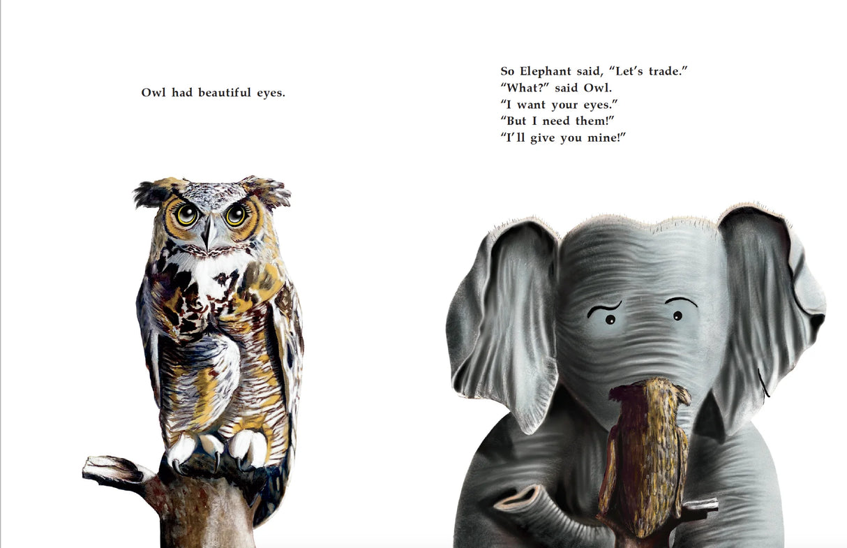 Elephant's Makeover (Hardcover)