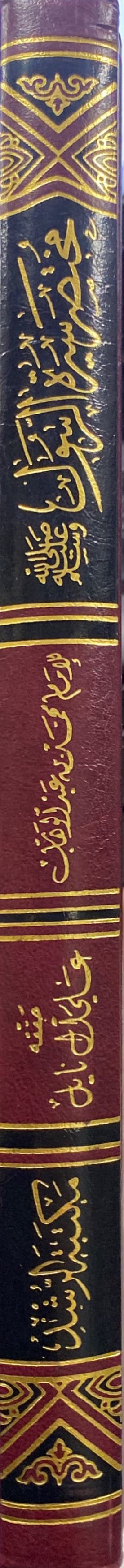 مختصر سيرة الرسول Mukhtasar Siratur Rasul (Rushd)