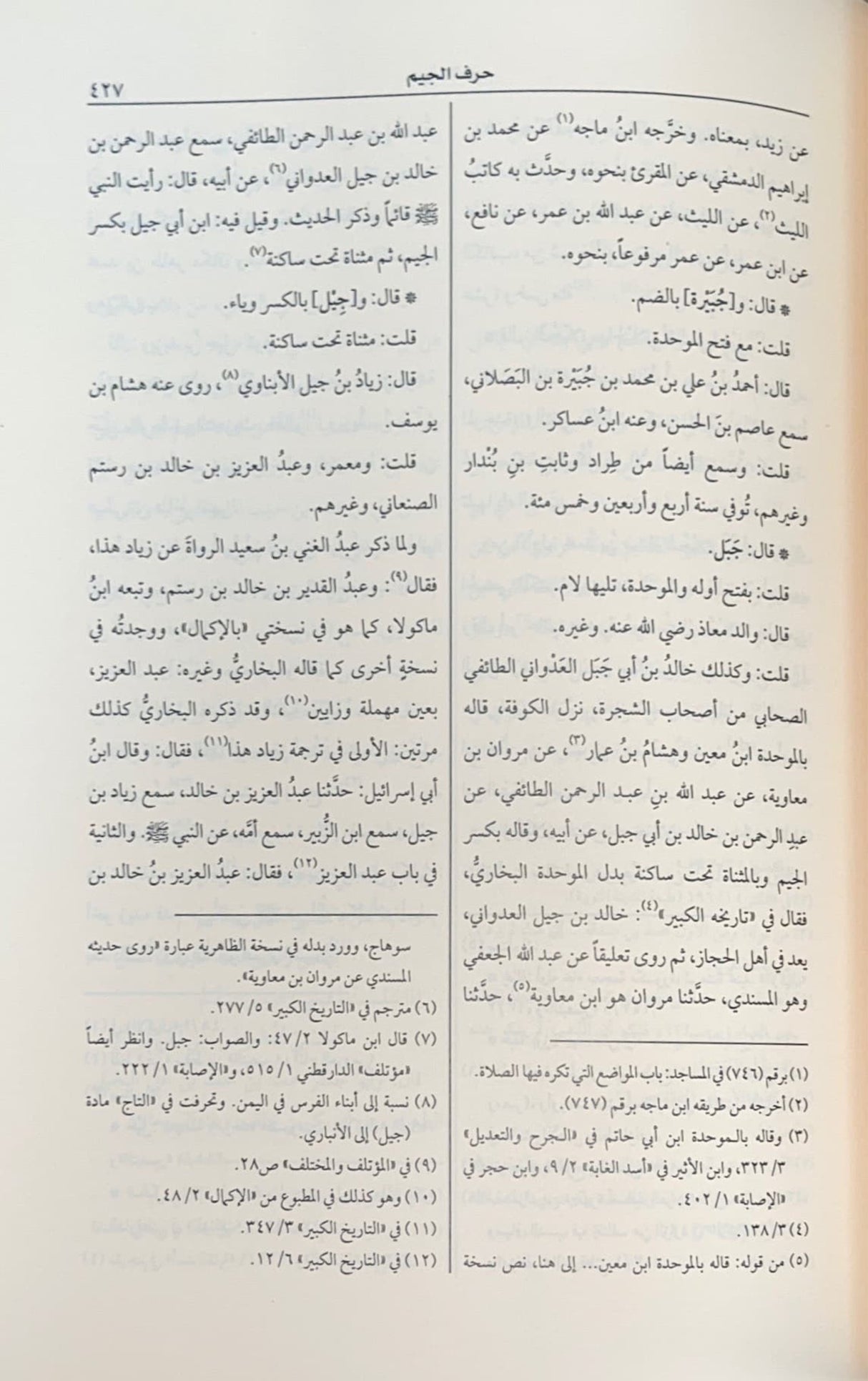 توضيح المشتبه Tawdih Al Mushtabih (2 Volume Set)