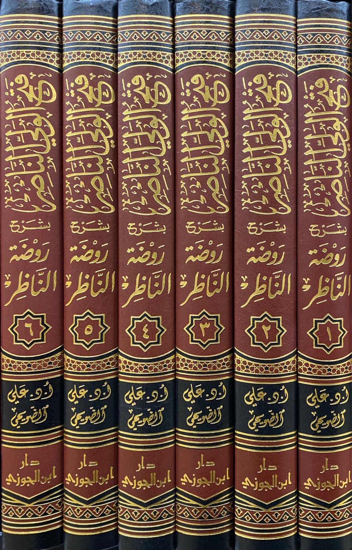 فتح الولى الناصر شرح روضة الناظر 1/ 6 Fath Al Wali An Nasir Sharh Rawdatun Nathir (6 Volume Set)