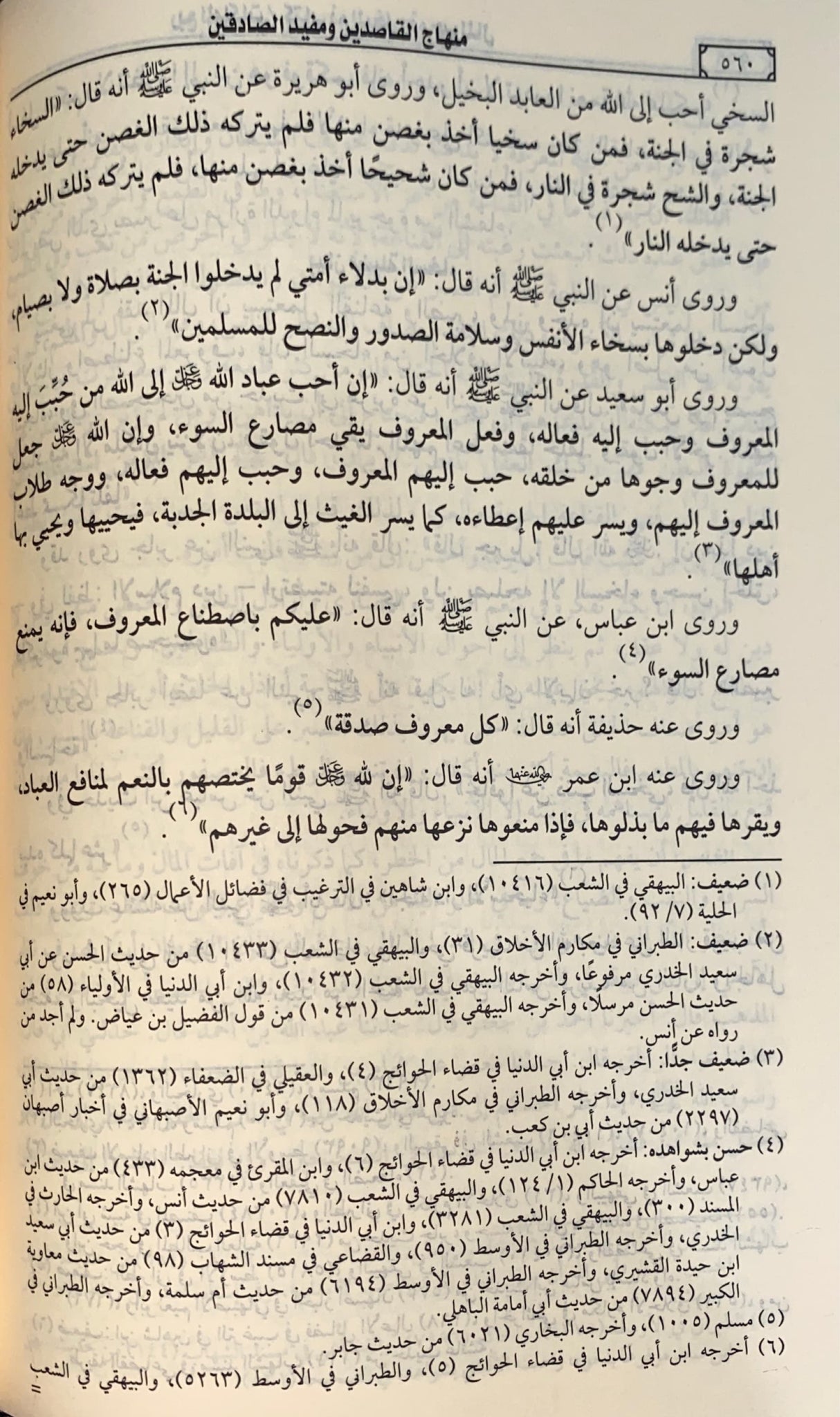 منهاج القاصدين و مفيد الصادقين Minhajul Qasidin
