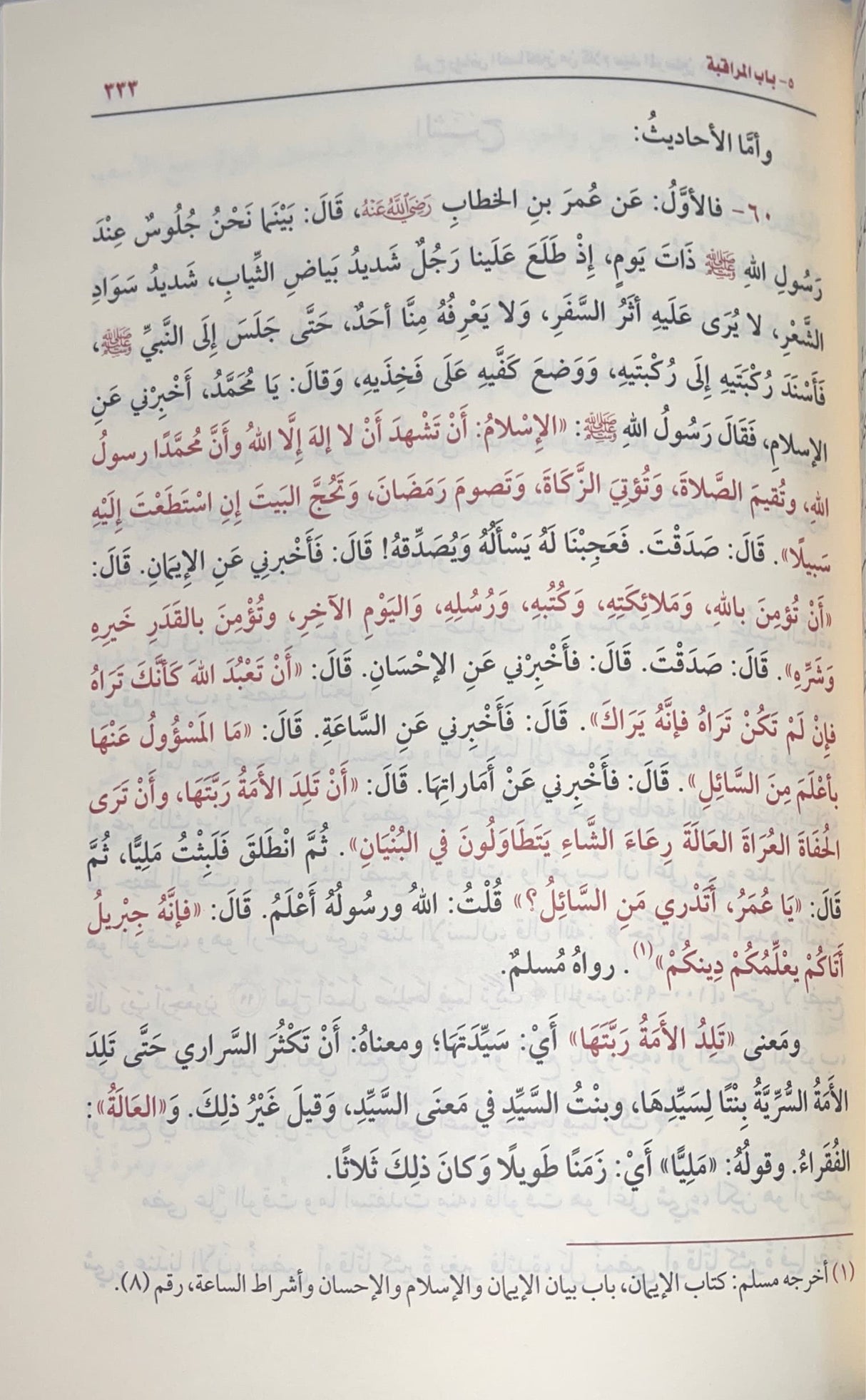 شرح رياض الصالحين الجديد Sharh Riyadhus Saliheen (4 Vol.)(Delux)