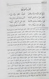 Sharh Ibn Aqeel Ala Alfiya Ibn Malik (2 Volume Set)(Dar At Turath) شرح ابن عقيل على الفية ابن مالك