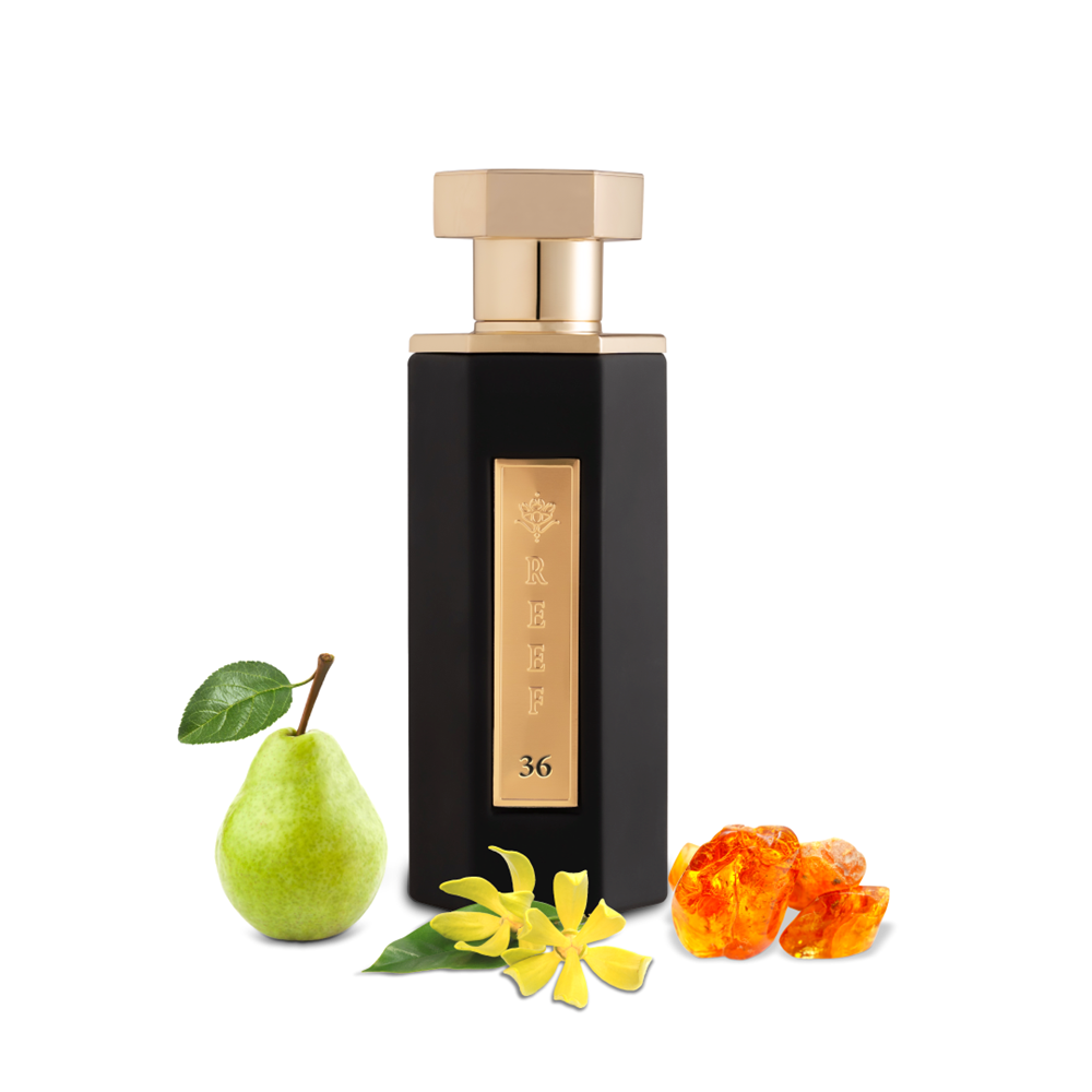 REEF 36 100 ML By Reef