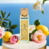 Spirit of Valencia By Swiss Arabian