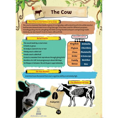 Wonderful Stories of Animal in the Quran