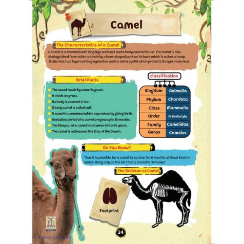 Wonderful Stories of Animal in the Quran