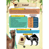 Wonderful Stories of Animal in the Quran
