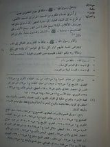 Al Mukhtasar As Saghir Fi Sirat Al Bashir An Nathir المختصر الصغير في سيرة البشير النذير