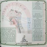 Quran with Translation and transliteration 17X17.5cm