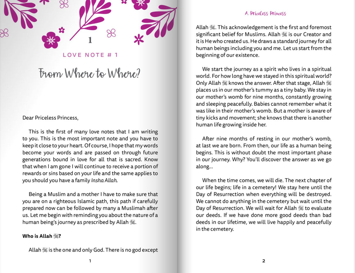 A Priceless Princess - Love Notes to a Daughter 