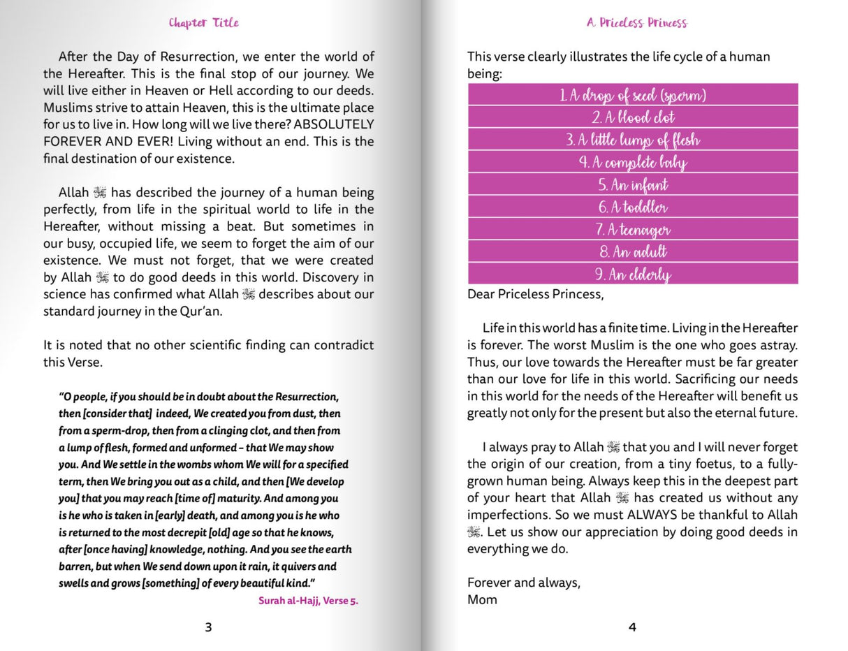 A Priceless Princess - Love Notes to a Daughter 