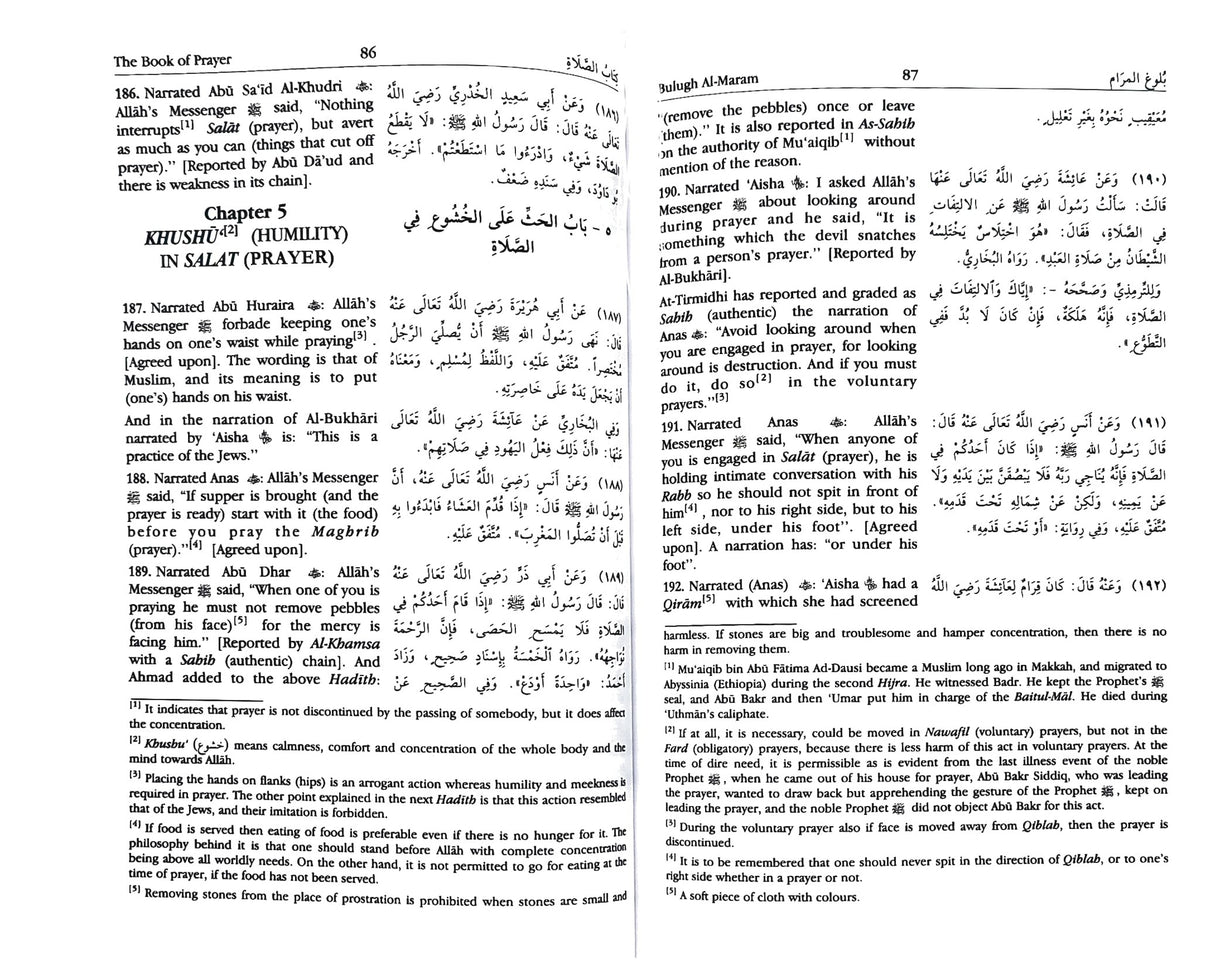 Bulugh Al-Maram (Arabic-English)