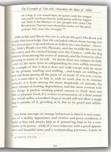 Paragons Of The Qur'an