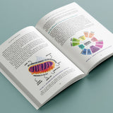 The Quranic Prescription Unlocking the Secrets to Optimal Health