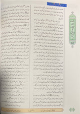Urdu Nishanate Arze Nabvi  (Full Colour - Delux)