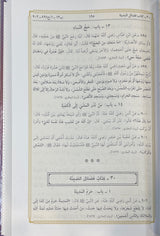 Mukhtasar Sahih Al Bukhari (Ibn Hazm) مختصر صحيح البخاري المسمى التجريد الصريح لاحاديث الجامع الصحيح
