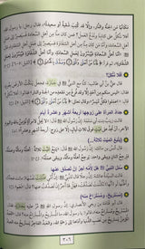 محمد اخراج جديد ممنهج للسنة النبوية   Muhammad (Marifa)