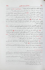 جامع المسانيد والسن الهادي لاقوم سنن   Jami  Al Masanid Was Sunan (18 Volume Set)