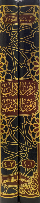 زهر الاداب و ثمر الالباب     Zahrul Aadab Wa Thamarul Albab (2 Volume Set)