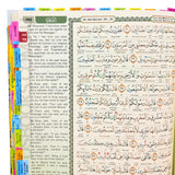 Maqdis with subjects tags - Word for Word Quran - Medium